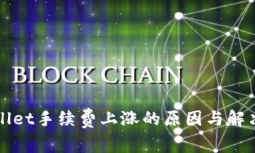 TPWallet手续费上涨的原因与解决方案