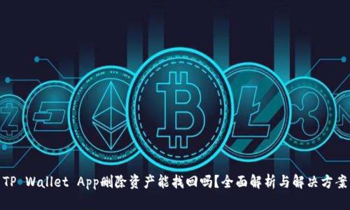 TP Wallet App删除资产能找回吗？全面解析与解决方案