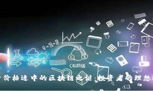 揭开价格适中的区块链之谜：投资者的理想选择