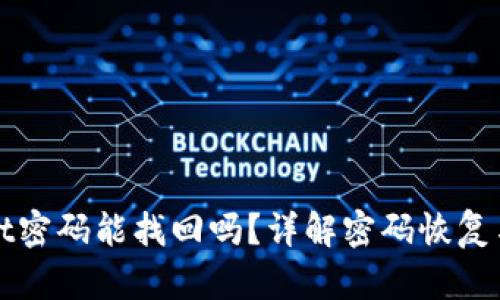 TPWallet密码能找回吗？详解密码恢复与安全性