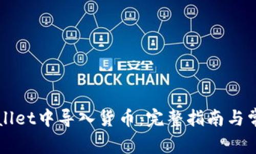 如何在TPWallet中导入货币：完整指南与常见问题解答