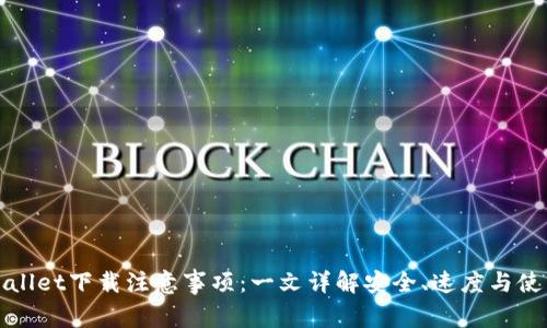 : TPWallet下载注意事项：一文详解安全、速度与使用技巧