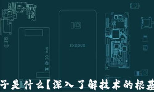 
区块链的种子是什么？深入了解技术的根基与未来发展