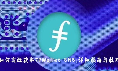 如何高效获取TPWallet BNB：详细指南与技巧