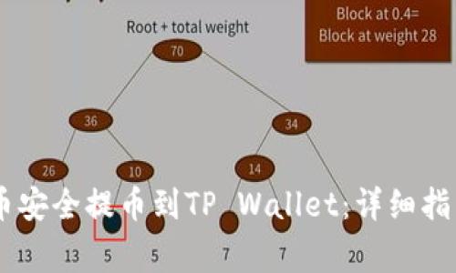 如何将SHIB币安全提币到TP Wallet：详细指南与注意事项