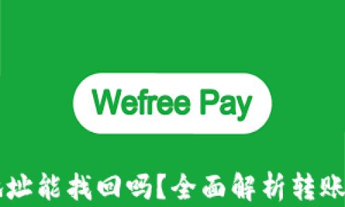 
TPWallet转错地址能找回吗？全面解析转账错误的解决方案