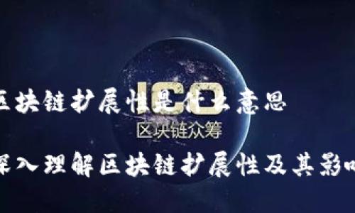 区块链扩展性是什么意思

深入理解区块链扩展性及其影响