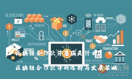 区块链合作伙伴范围是什么？

区块链合作伙伴的选择与发展策略