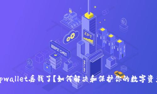 tpwallet丢钱了？如何解决和保护你的数字资产