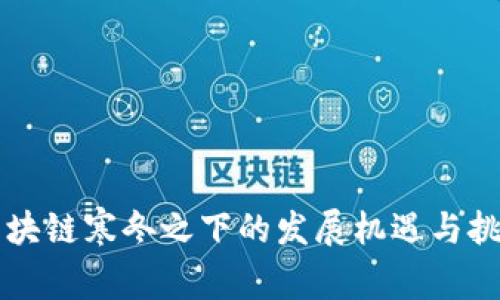 区块链寒冬之下的发展机遇与挑战