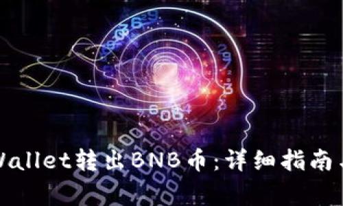 如何向TPWallet转出BNB币：详细指南与常见问题