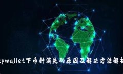 tpwallet下币种消失的原因及