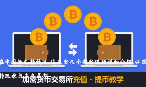 关于“Tpwallet”及其在中国的支持情况，这里分几个部分进行详细介绍，以便更好地理解这一话题。

中国对Tpwallet的支持现状与未来展望