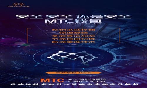 区块链技术的引入策略与实施路径解析