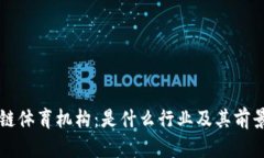 区块链体育机构：是什么