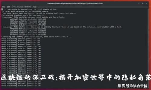 区块链的保卫战：揭开加密世界中的隐秘角落