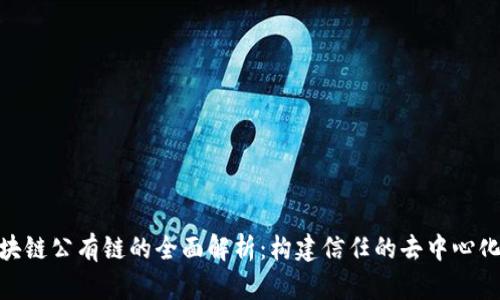 : 区块链公有链的全面解析：构建信任的去中心化网络