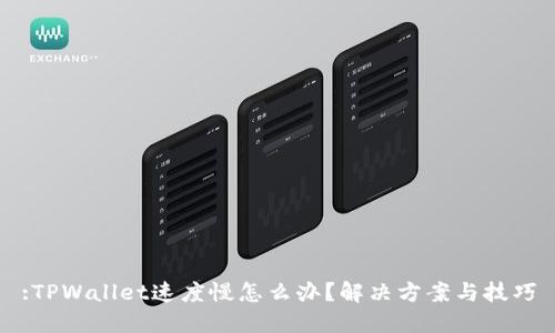 :TPWallet速度慢怎么办？解决方案与技巧