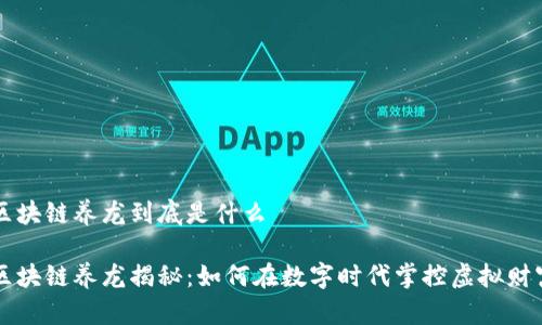 区块链养龙到底是什么

区块链养龙揭秘：如何在数字时代掌控虚拟财富