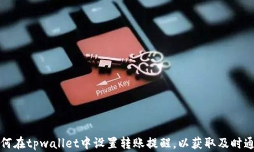
如何在tpwallet中设置转账提醒，以获取及时通知